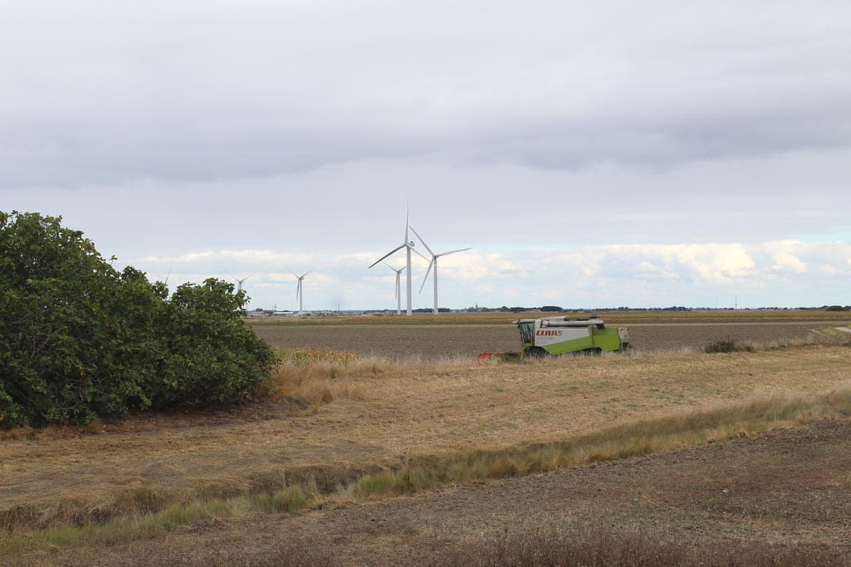 Eoliennes à Bouin (85)